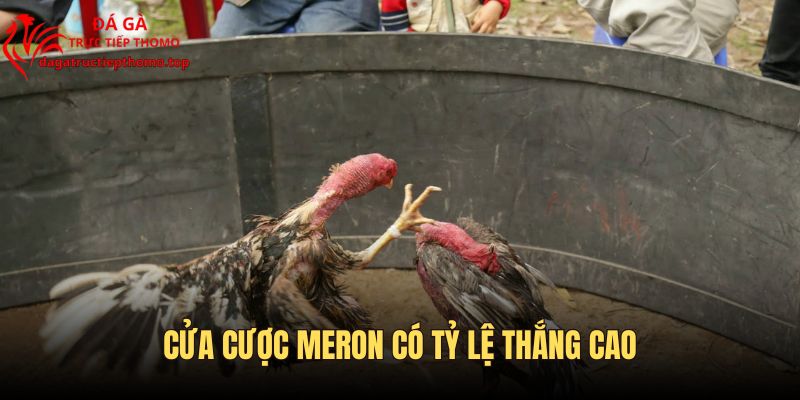 Tỷ lệ thưởng cửa Meron thường xoay quanh 1 ăn 0.95