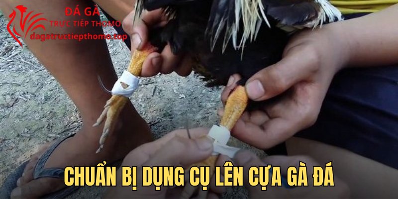 Hướng dẫn chuẩn bị dụng cụ lên cựa gà đá
