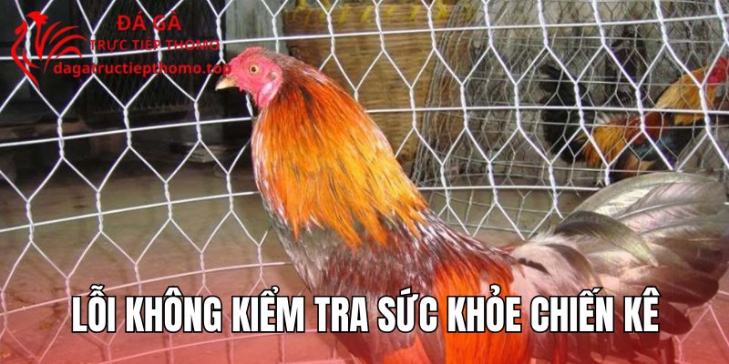 Lỗi không kiểm tra sức khỏe chiến kê
